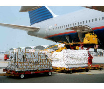 物流倉儲(chǔ)與貨物報(bào)關(guān)代理 現(xiàn)代國(guó)際貿(mào)易的基石